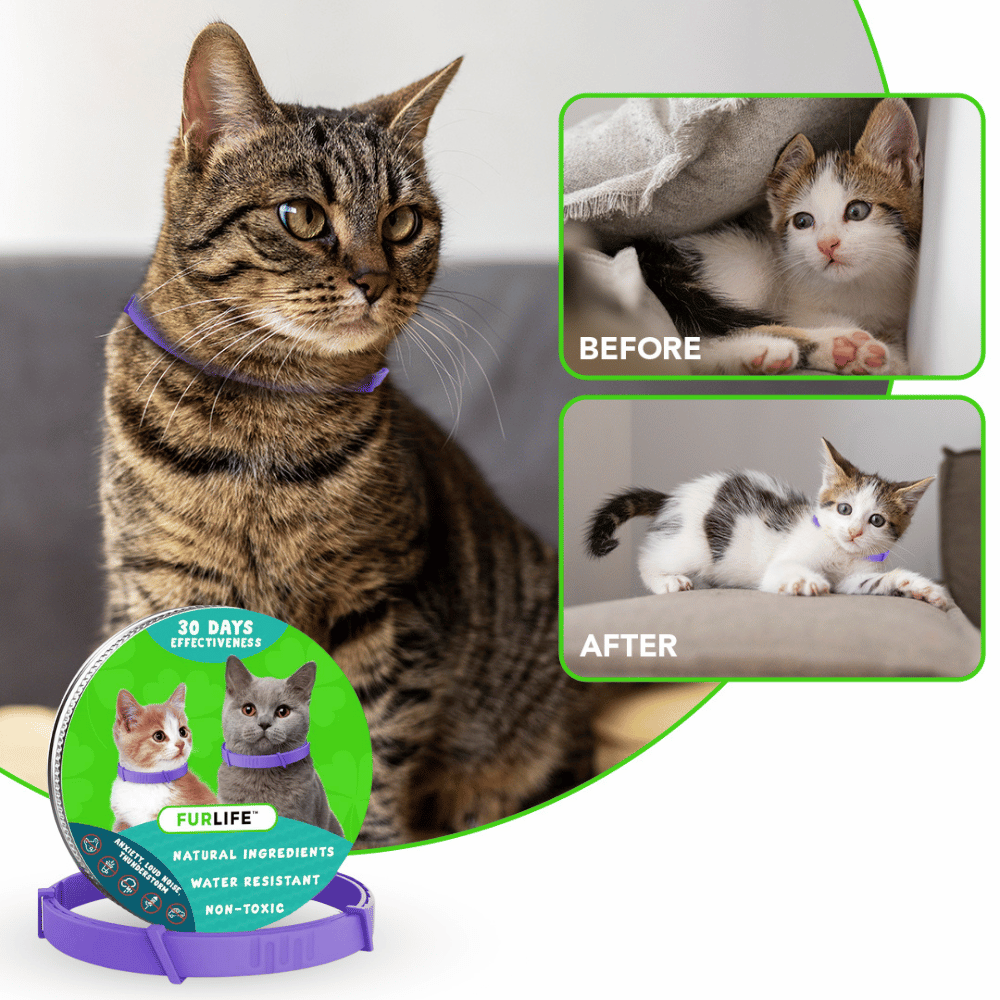 FurLife™ - Natural Pheromone Calming Collar