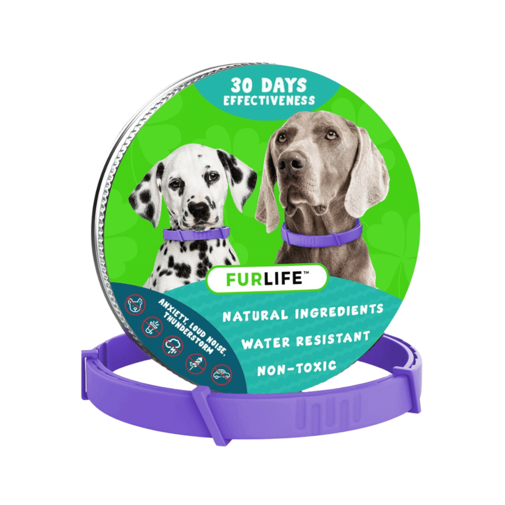 FurLife™ - Natural Pheromone Calming Collar