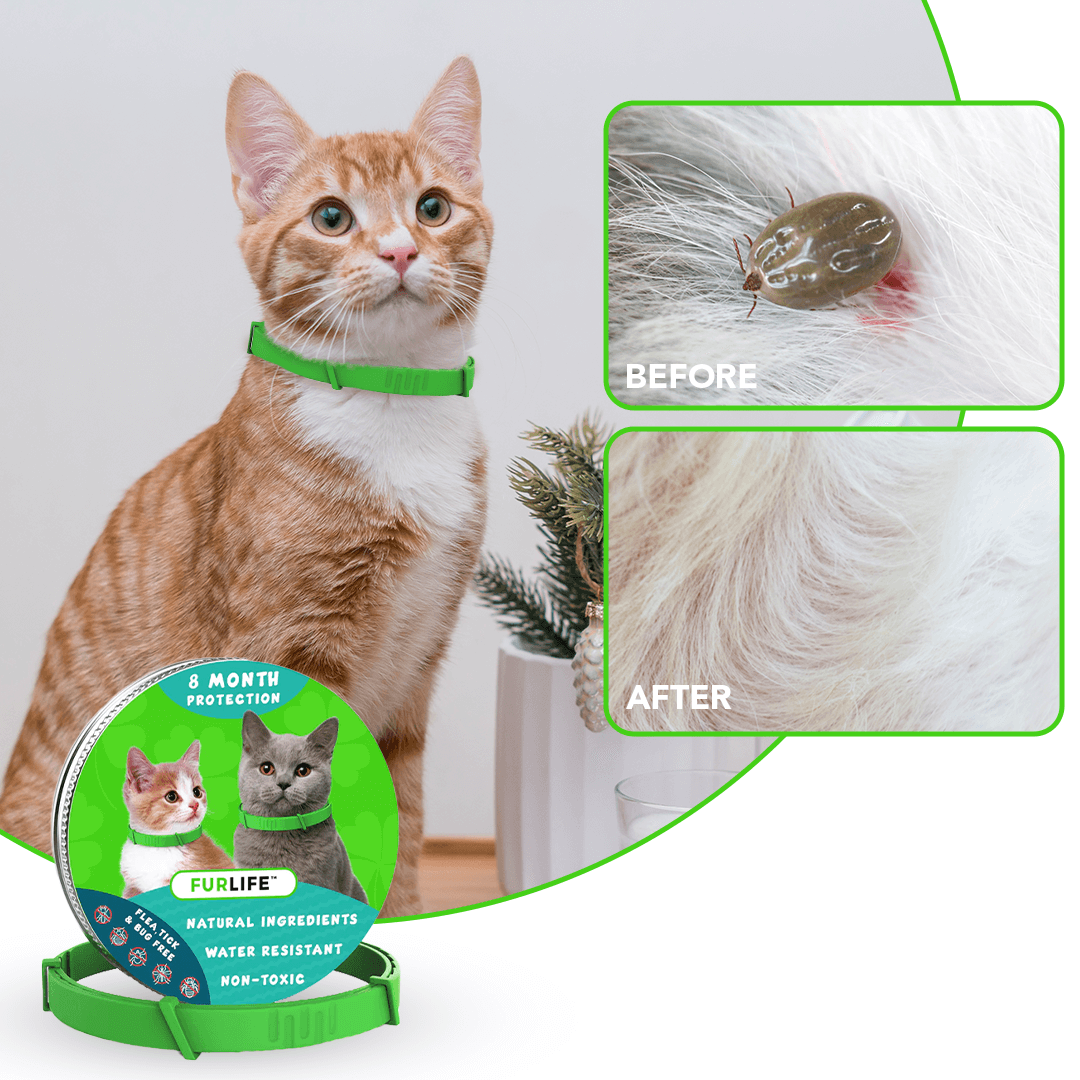 FurLife™ 8 Months Flea and Tick Free